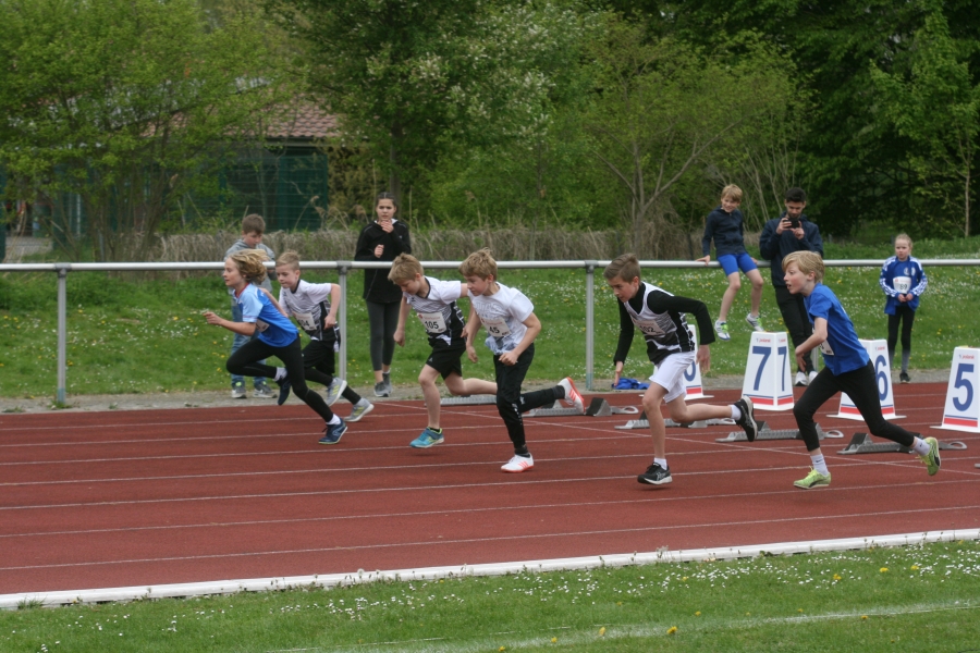 50-Meter-Sprint der Altersklasse M11.